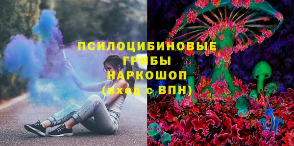 стаф Надым