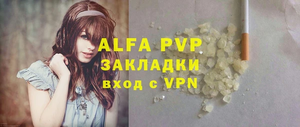стаф Надым