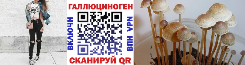 Галлюциногенные грибы мухоморы Болохово