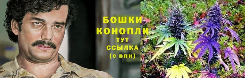 Конопля THC 21%  Болохово 